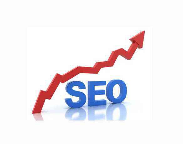 安徽SEO讲解不懂SEO排名技术怎么做网络推广?